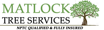 Matlock Tree Services